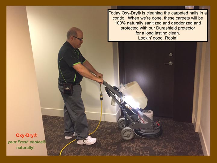 cleaningcondocarpet OxyDry® Carpet / Upholstery Cleaning