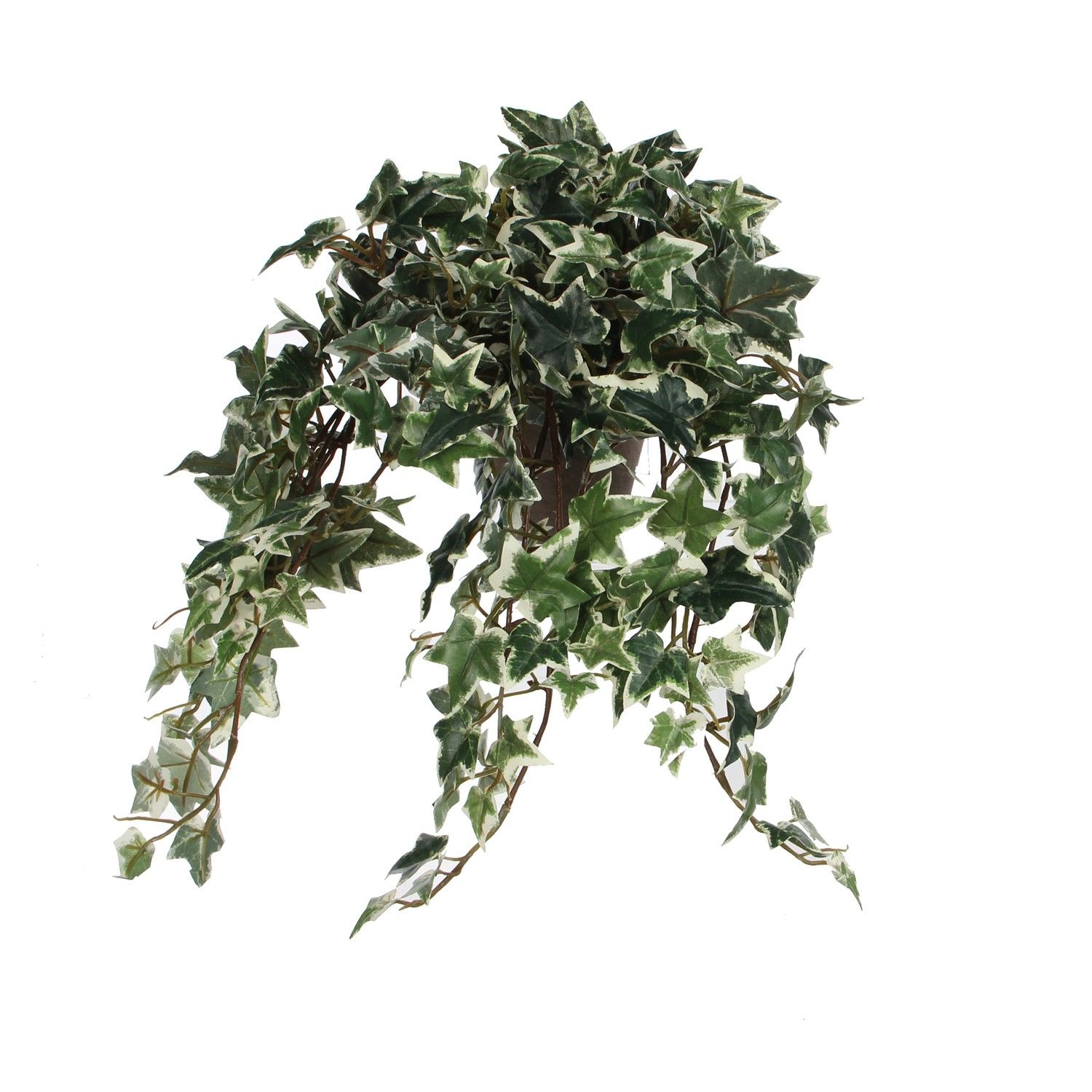 Hanging Ivy Artificial Buy Fake Plants UK OxyPlants