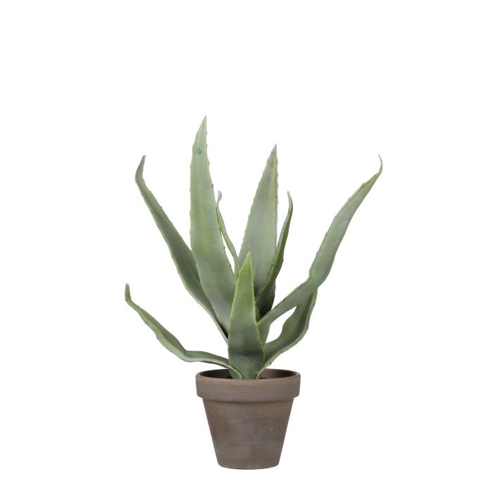 Artificial Succulent Buy Fake Plants UK 35 Day Delivery