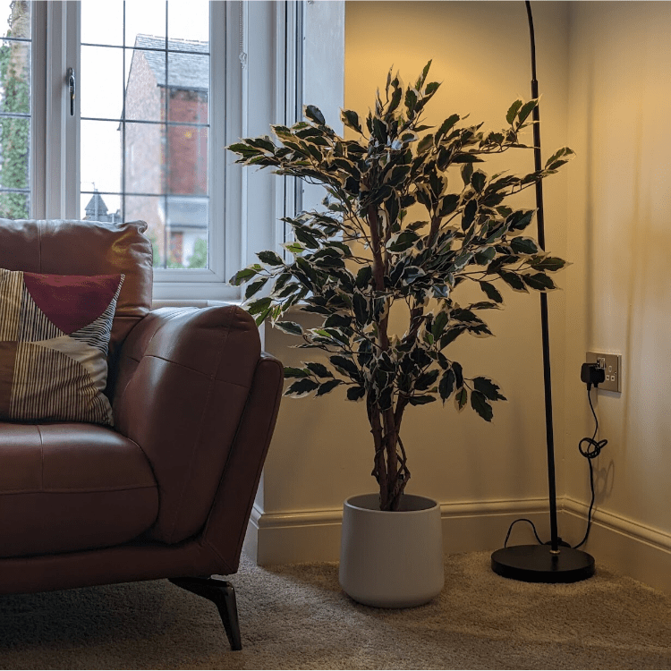 Artificial Ficus Tree Buy Fake Plants UK OxyPlants