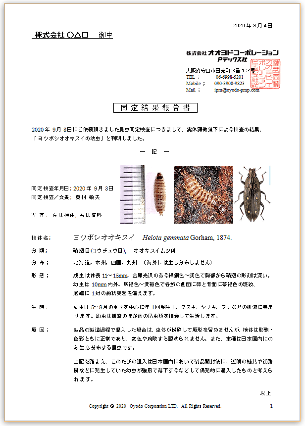 混入異物検査＆昆虫同定検査 » 害虫・害鳥獣を安全に対策します｜株式会社 オオヨドコーポレーション Pテックス社