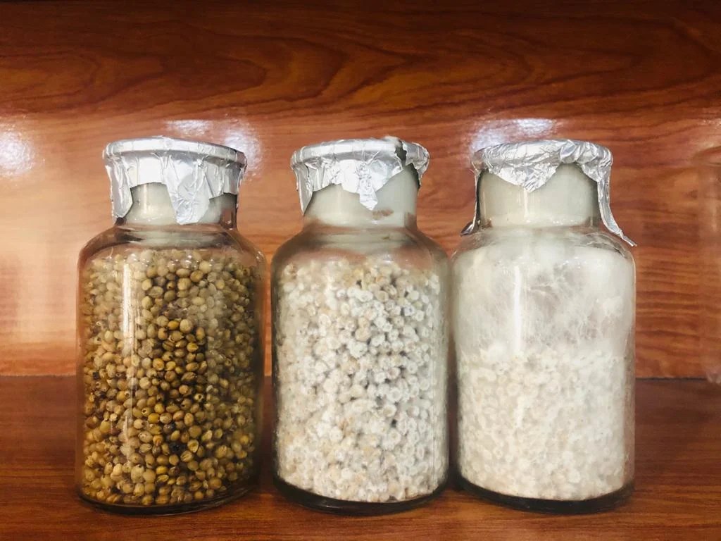 Mushroom Growing Supplies/Equipment