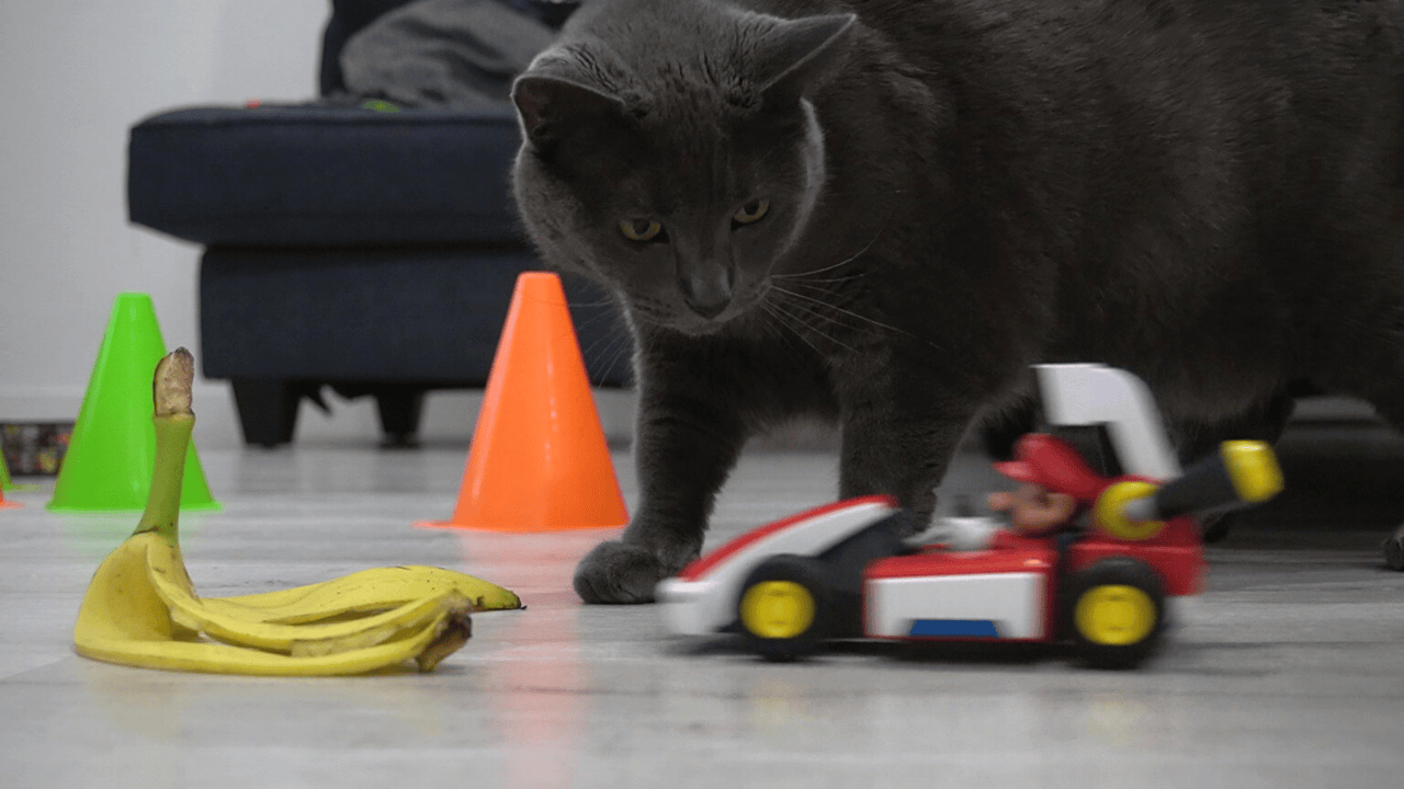Mario Kart Live Home Circuit Review