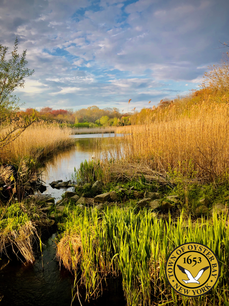 Town Outlines Environmental Strategy to Protect Estuaries and Safeguard