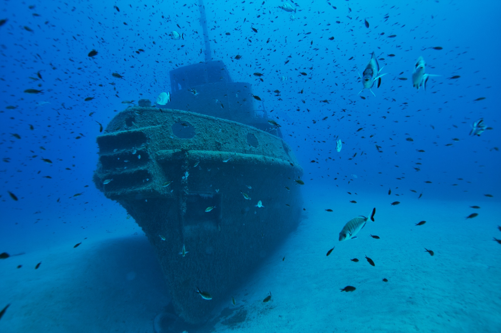 Wreck Diving in Malta Dive Sites, Types Of Marine Life At Boat Or Shipwrecks & Diving Conditions