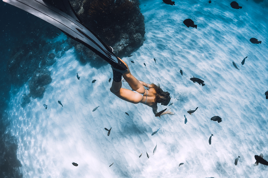 Freediver Apnea Course PADI Freediver Course Oyster Diving