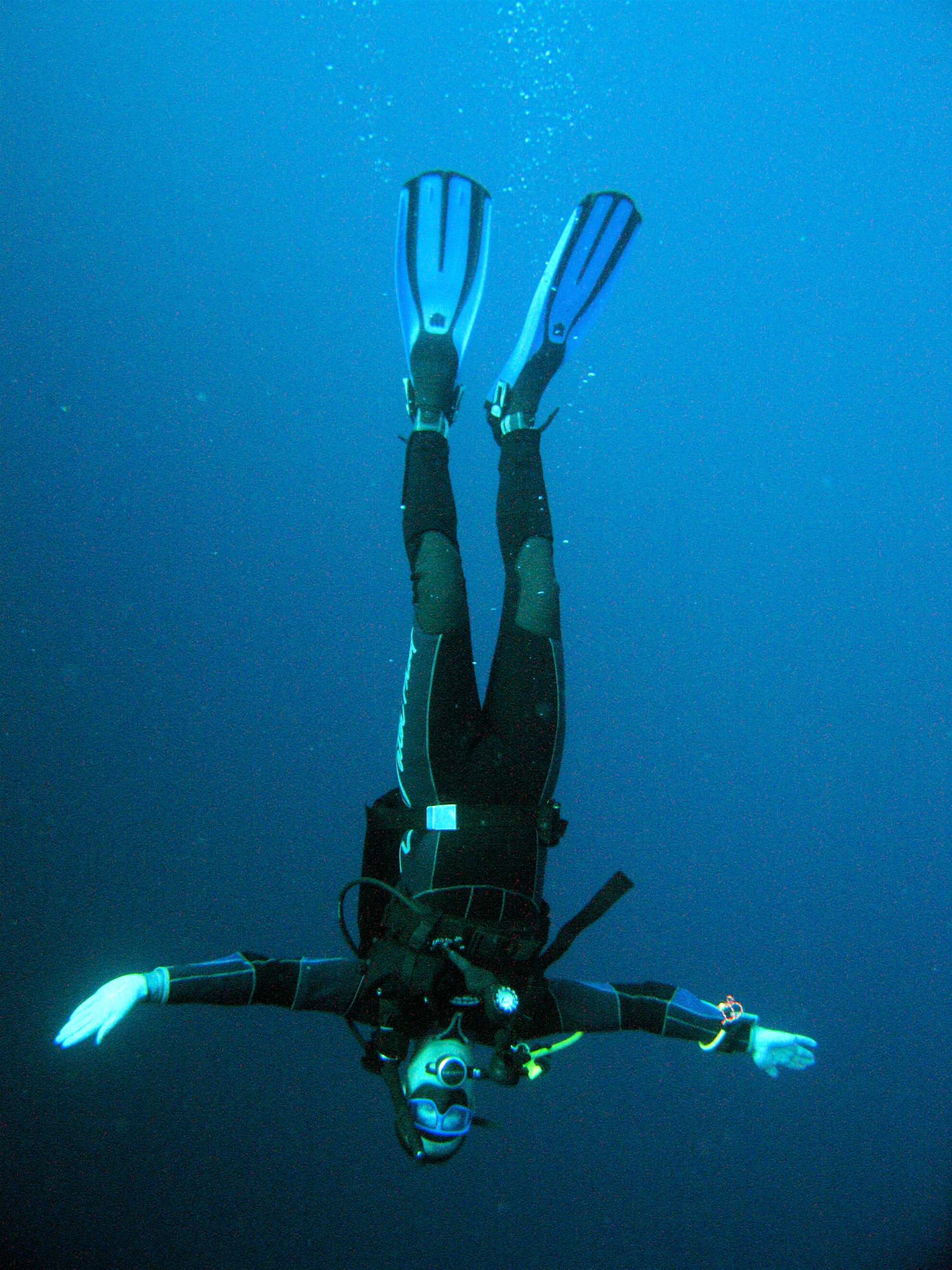 PADI Junior Open Water Scuba Diving Courses Oyster Diving