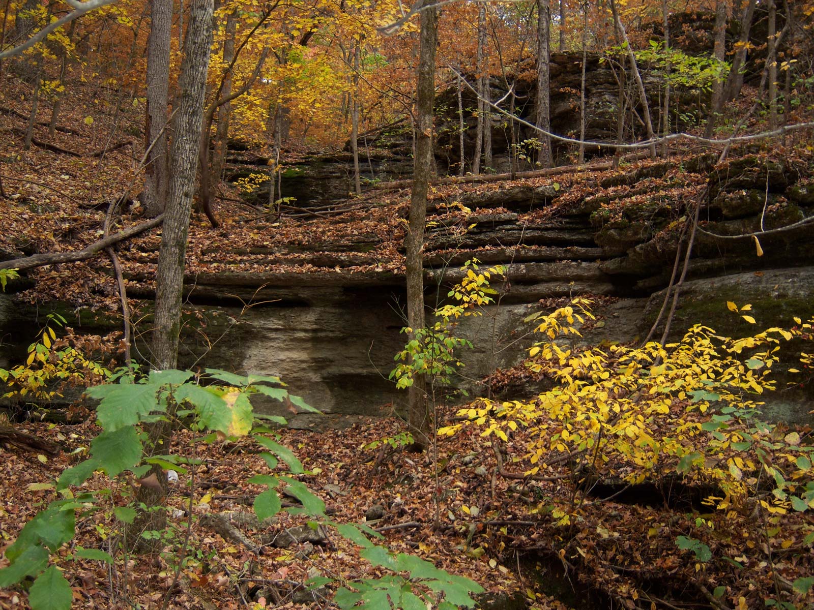 Land for Sale in the Ozarks, Missouri, Arkansas Owner Financed Land