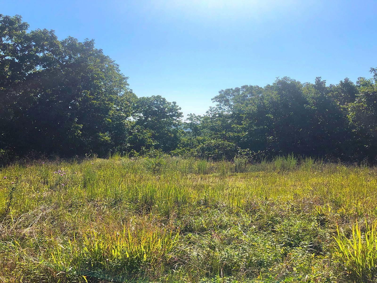 Jacks Fork Farmsteads Parcel AA