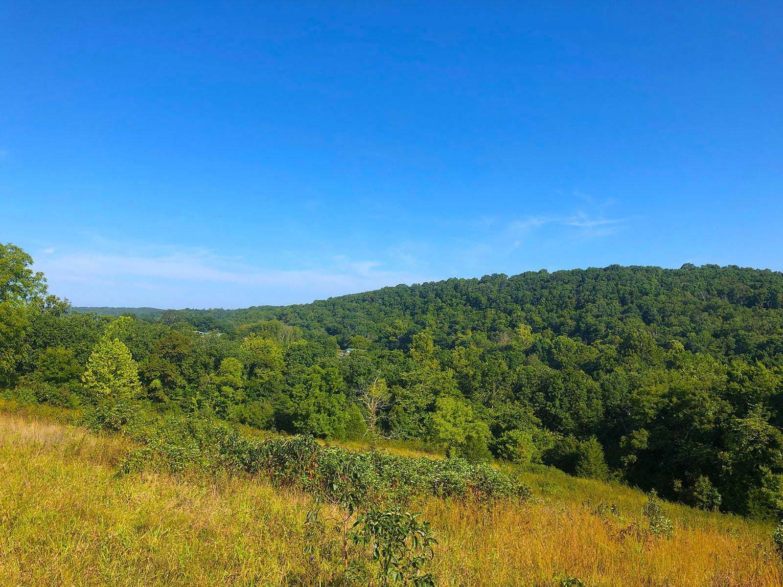 Jacks Fork Farmsteads Parcel AA