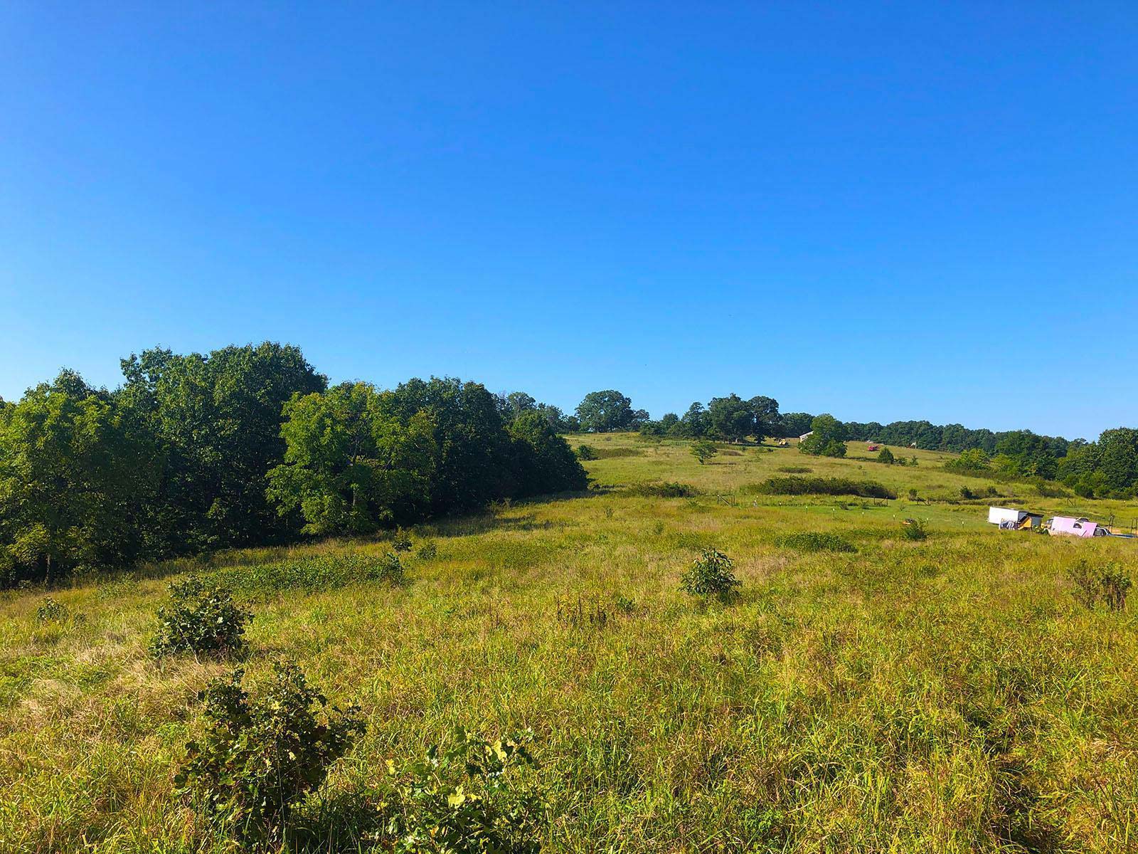 Jacks Fork Farmsteads Parcel AA