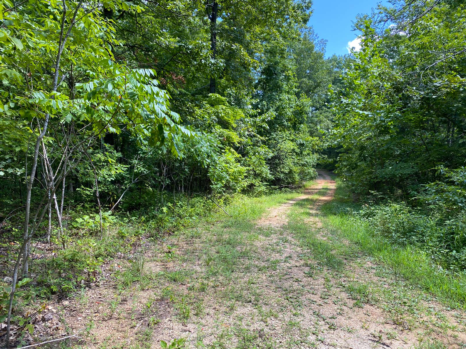 Clearwater Mountain Parcel A