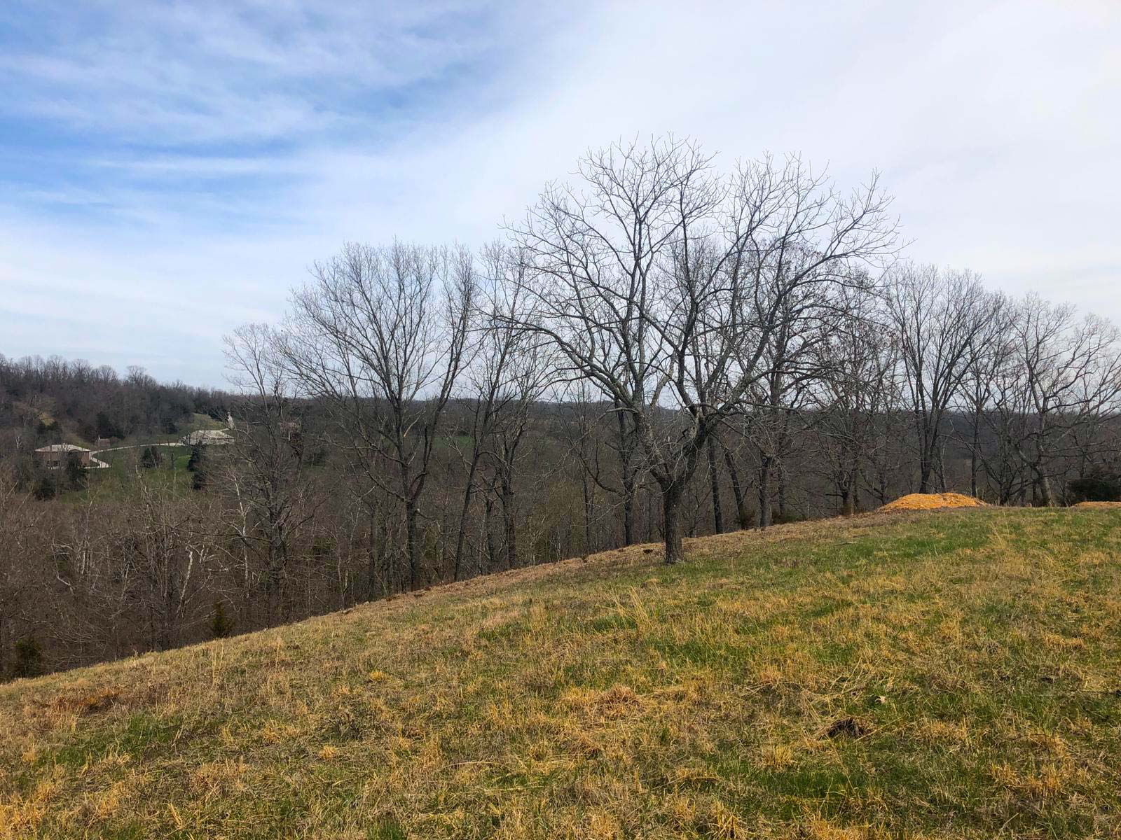 Jacks Fork Farmsteads Parcel AA