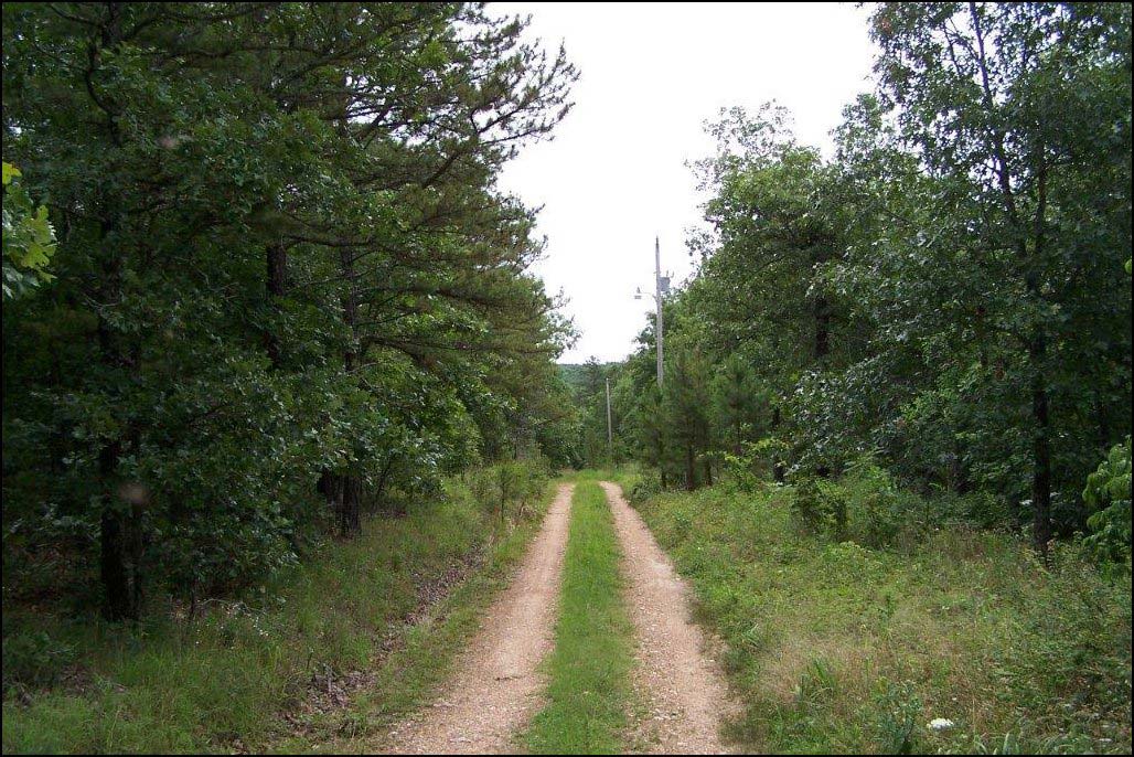 Mooney Branch Parcel R