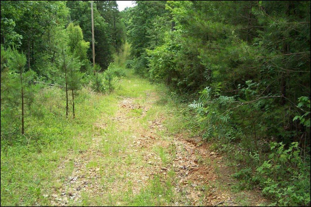 Mooney Branch Parcel R