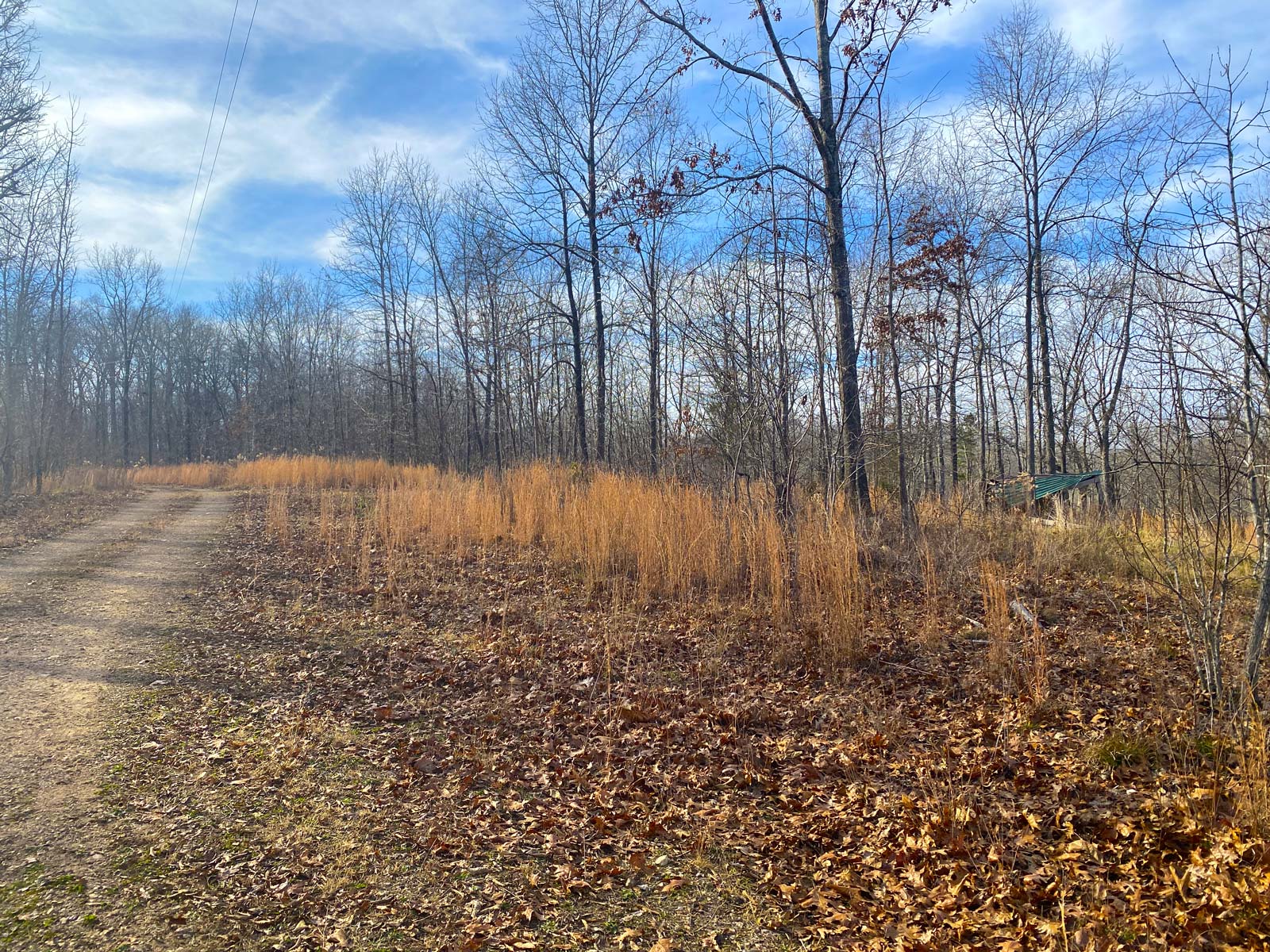 Clearwater Mountain Parcel Q