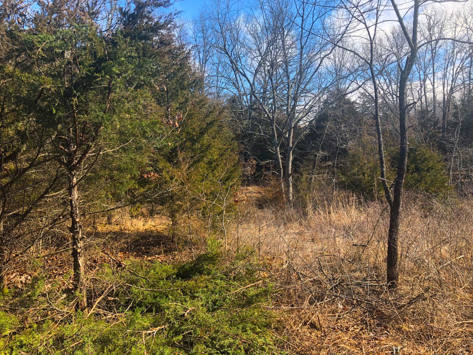 Roberts Road 1.5 Acres