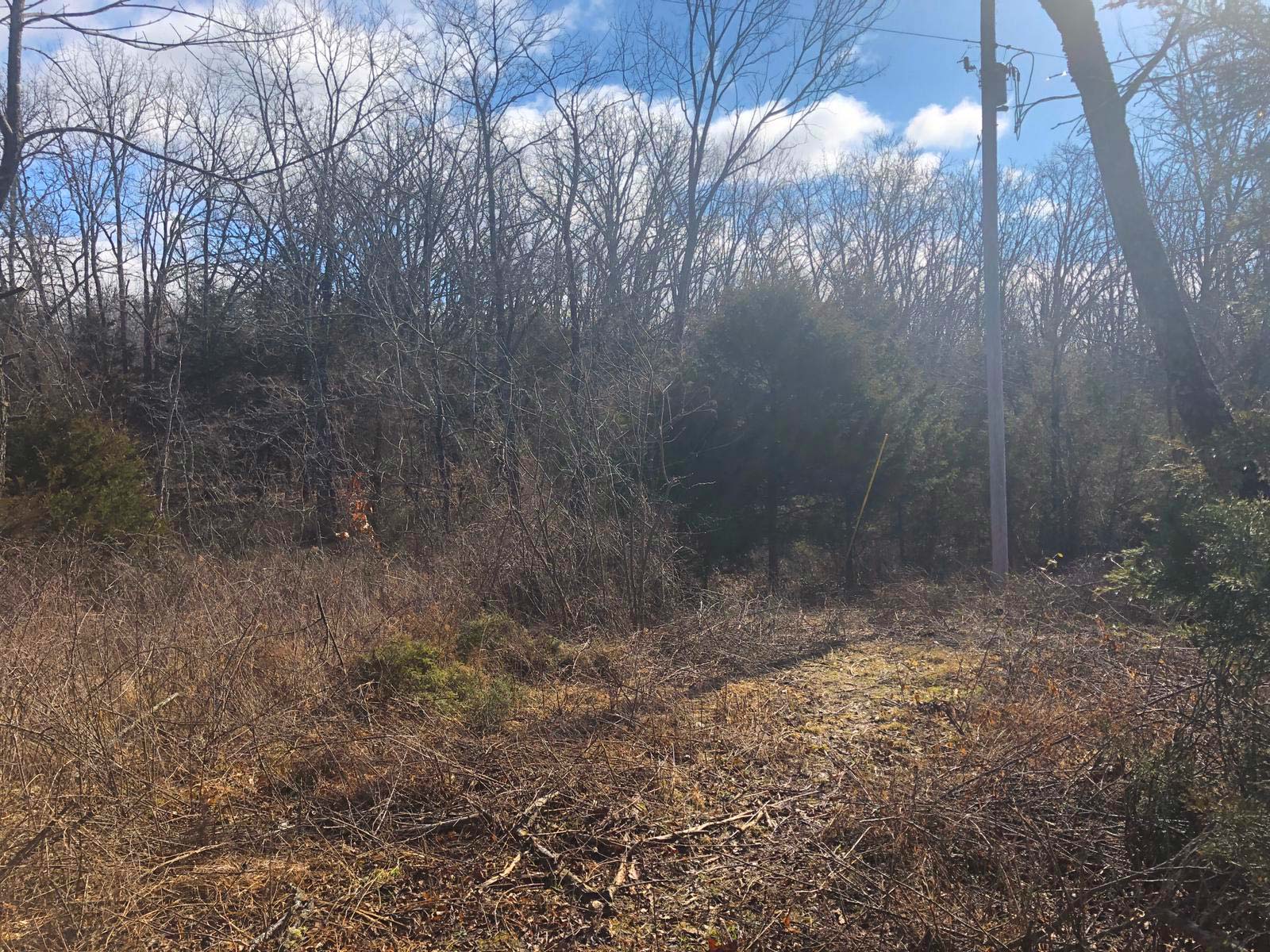 Roberts Road 1.5 Acres