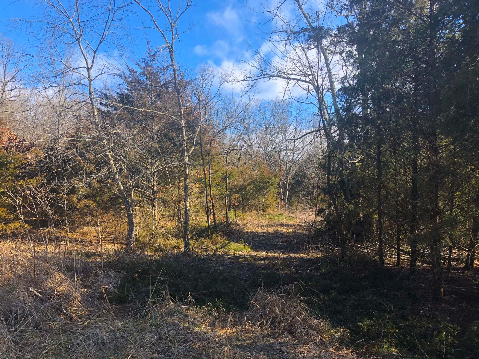 Roberts Road 1.5 Acres