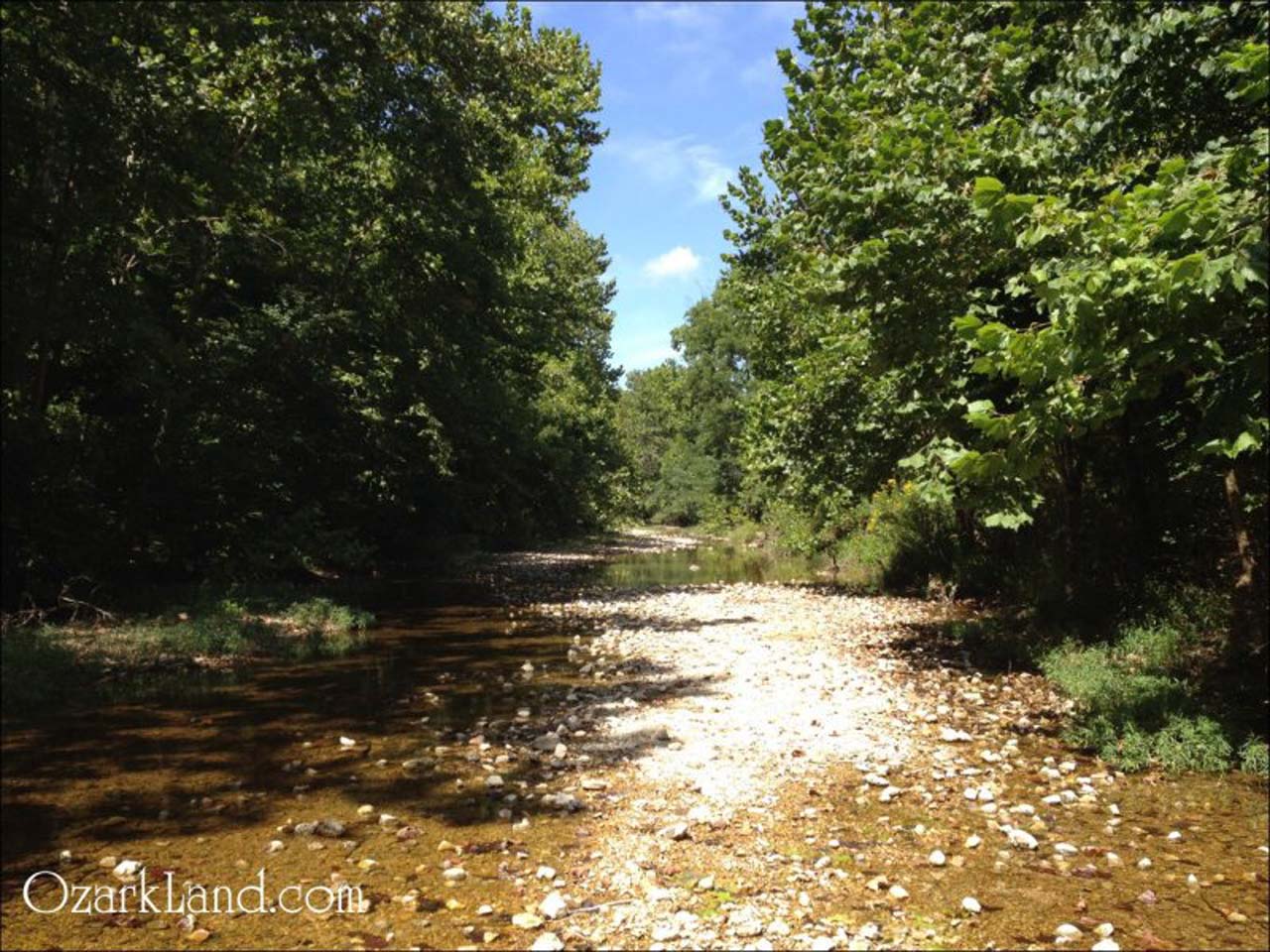 Jacks Fork Farmsteads Parcel E