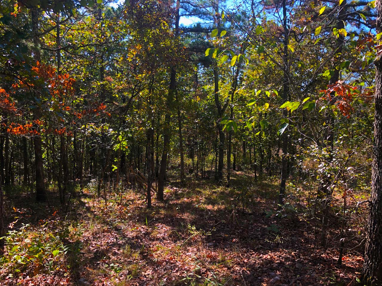 Mooney Branch Parcel K