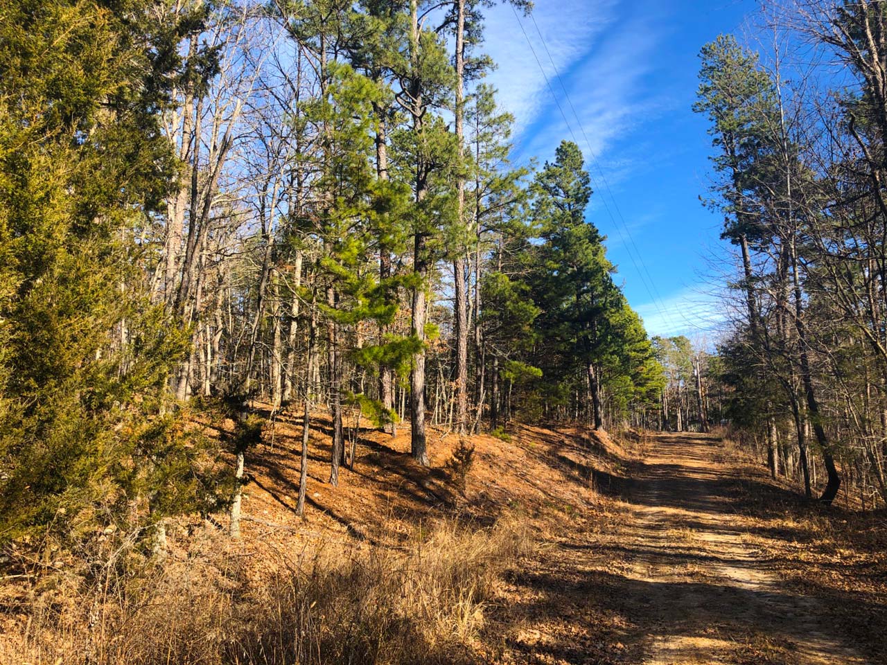 Mooney Branch Parcel G