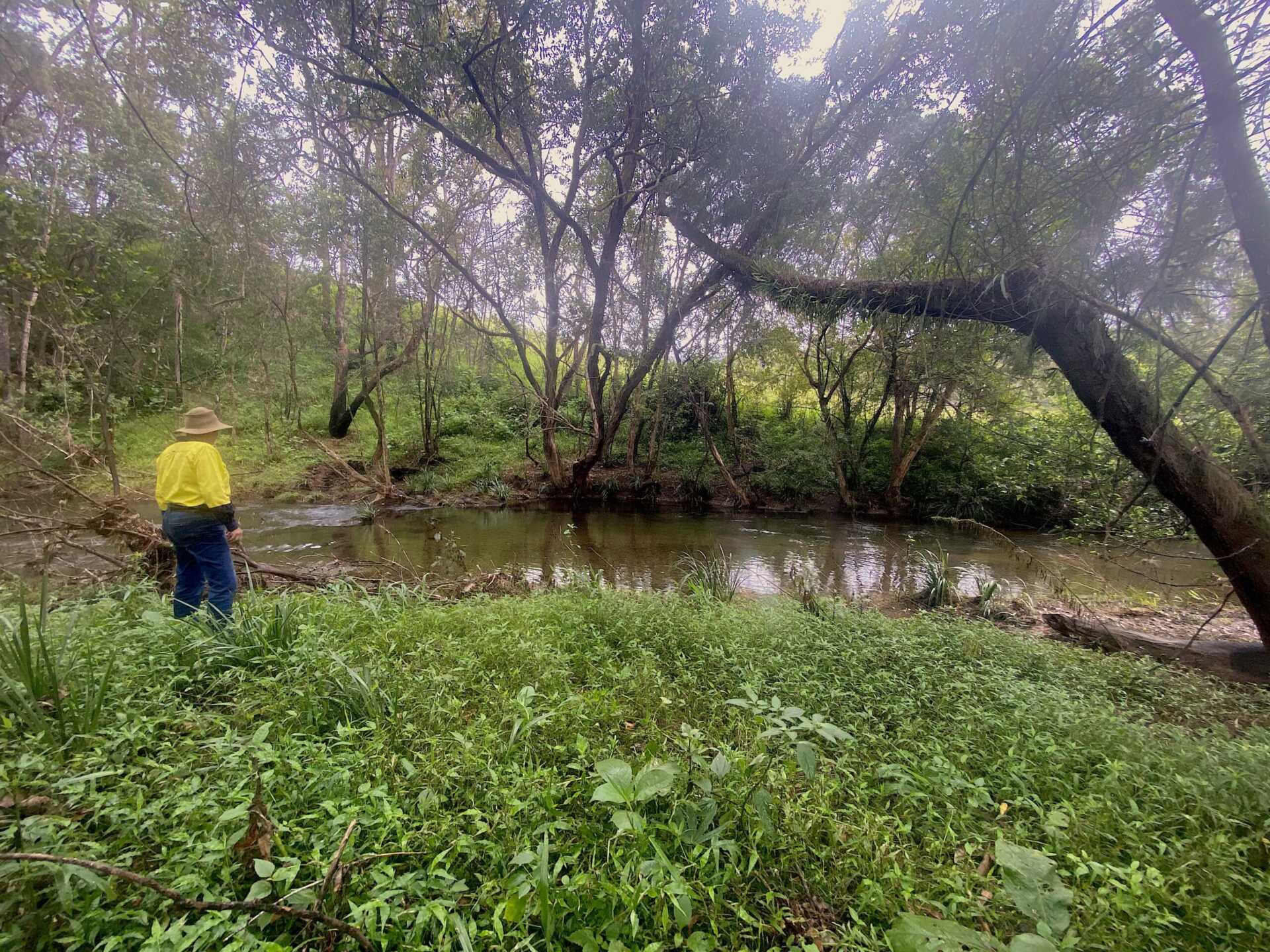 Manning River and the Manning River Helmeted Turtle OzFish Unlimited