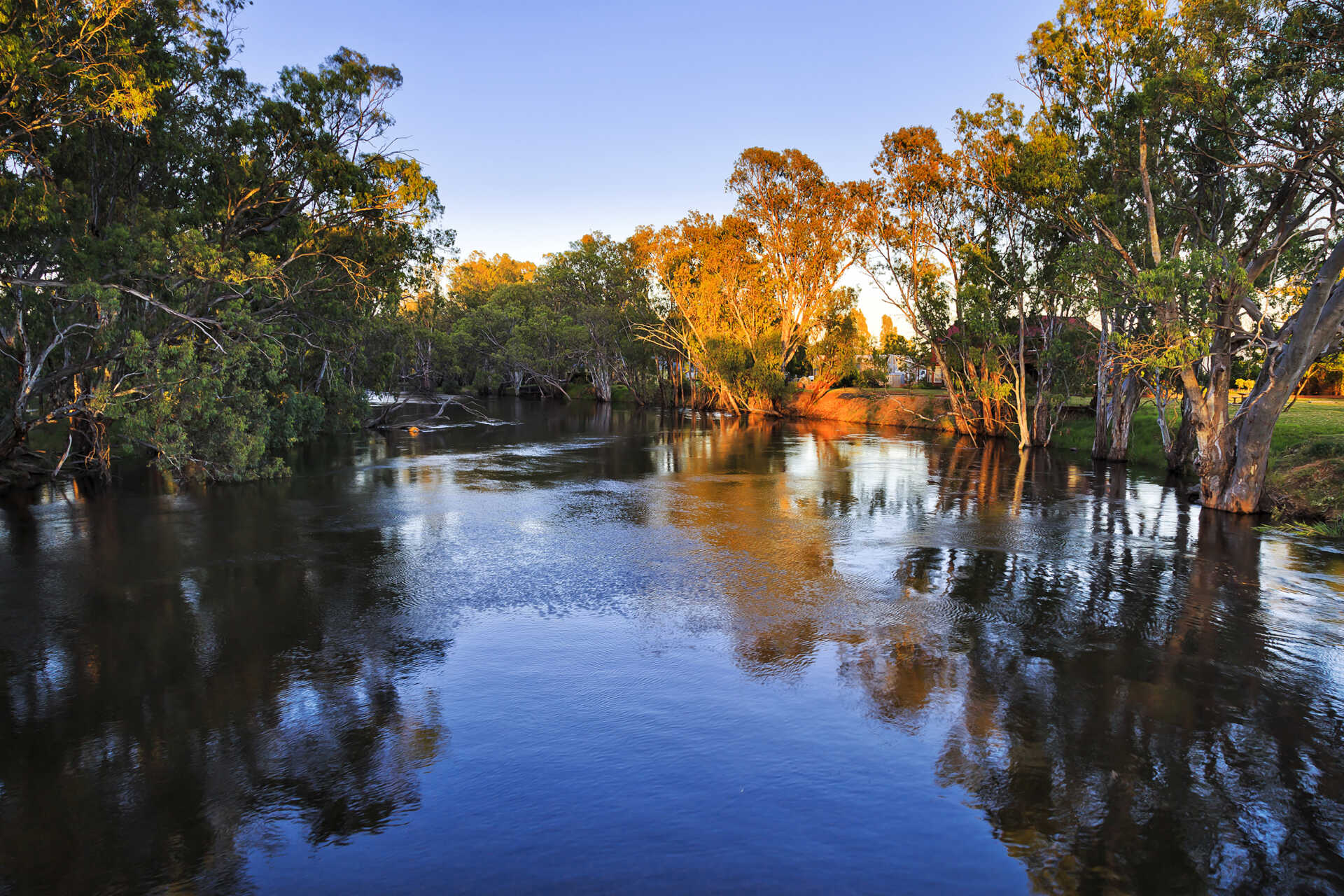 OzFish to host free fishing yarns to help improve the Murrumbidgee