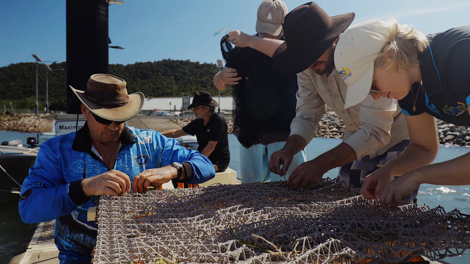 Mourilyan Harbour Seagrass Collection and Planting 2022 OzFish Unlimited
