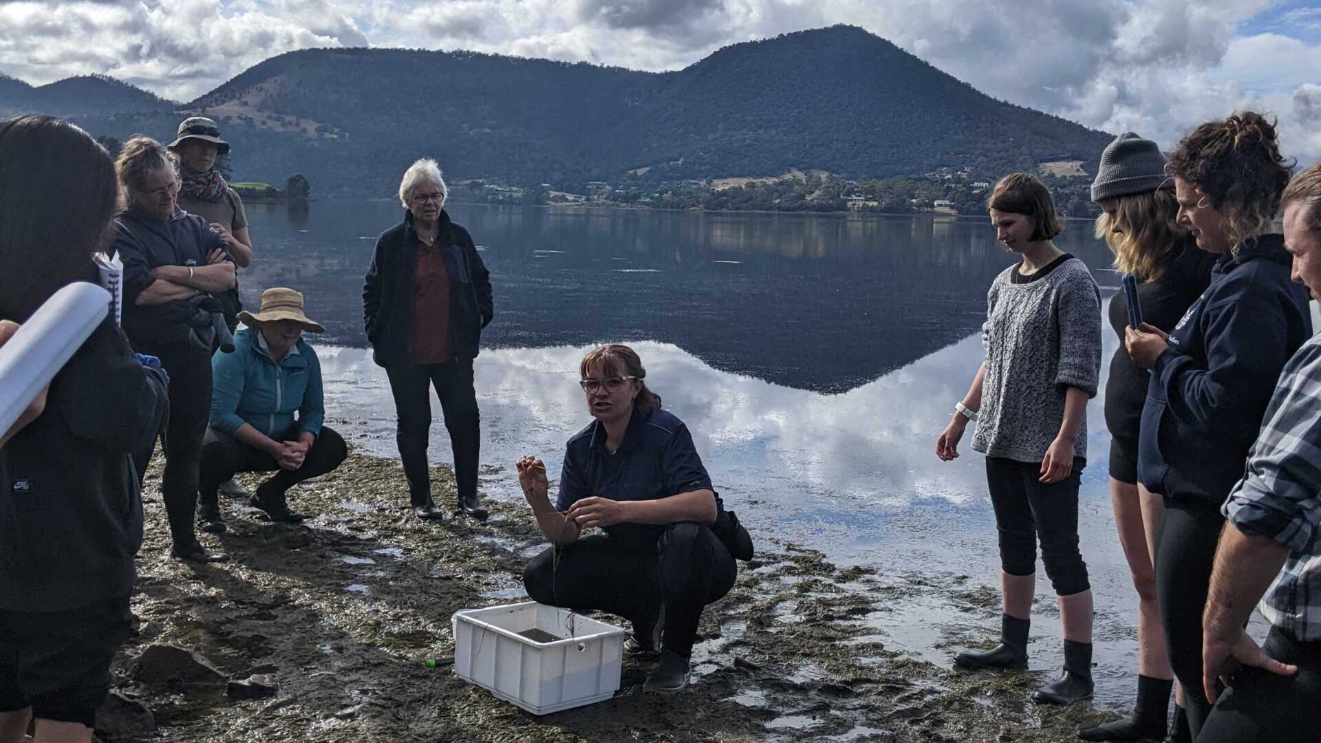 Innovative seagrass restoration trial could deliver big wins for