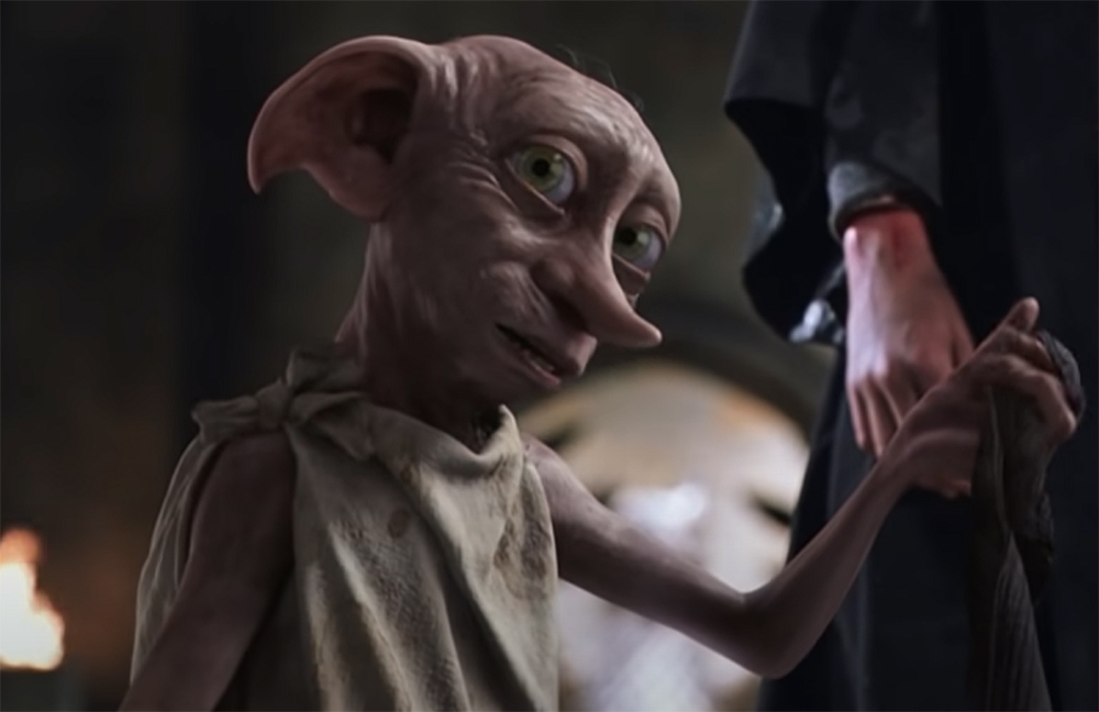 Stephen Harry Potter fans urged to stop leaving socks at Dobby the