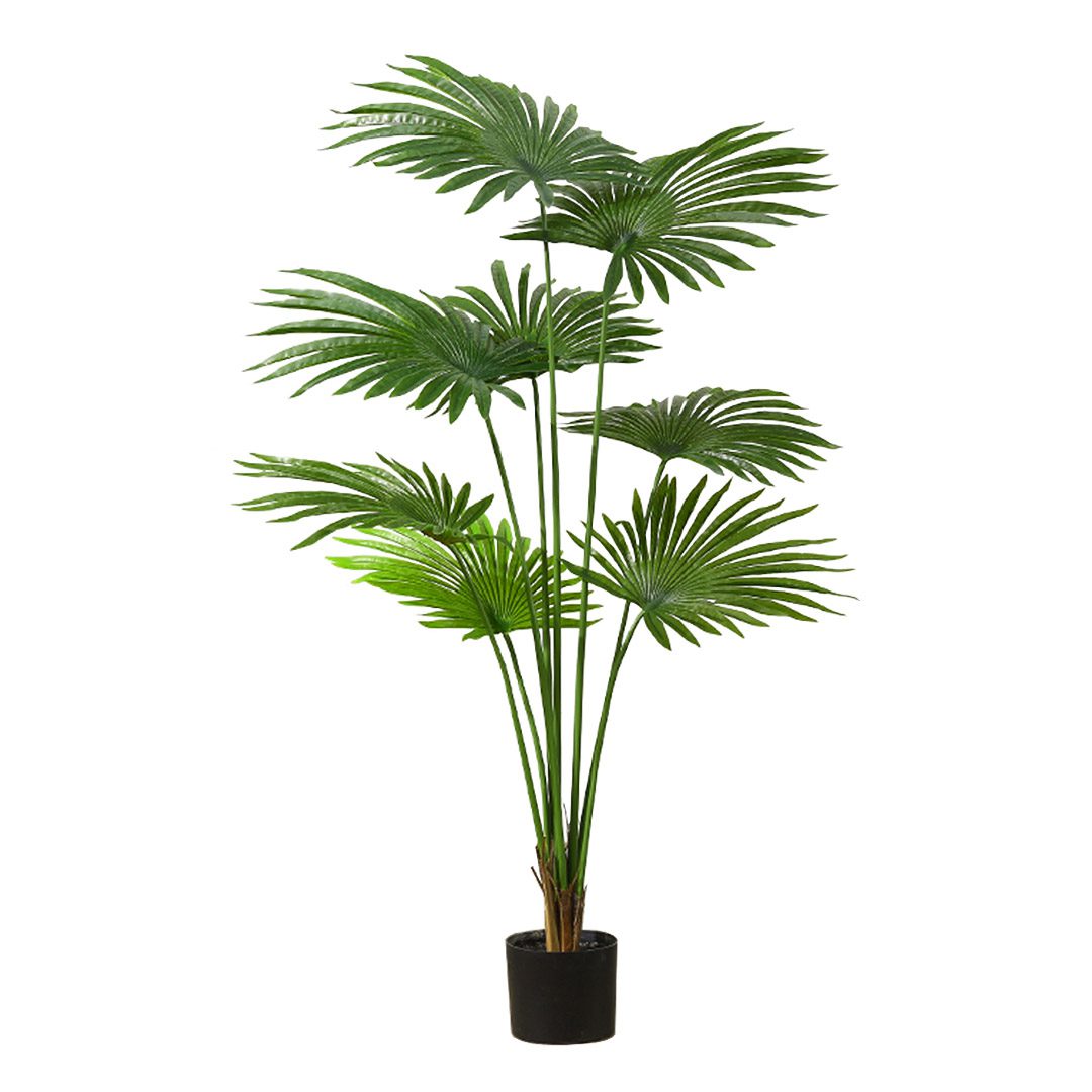 Shop Palm Tree Fake Plant. Free Shipping OzGalore