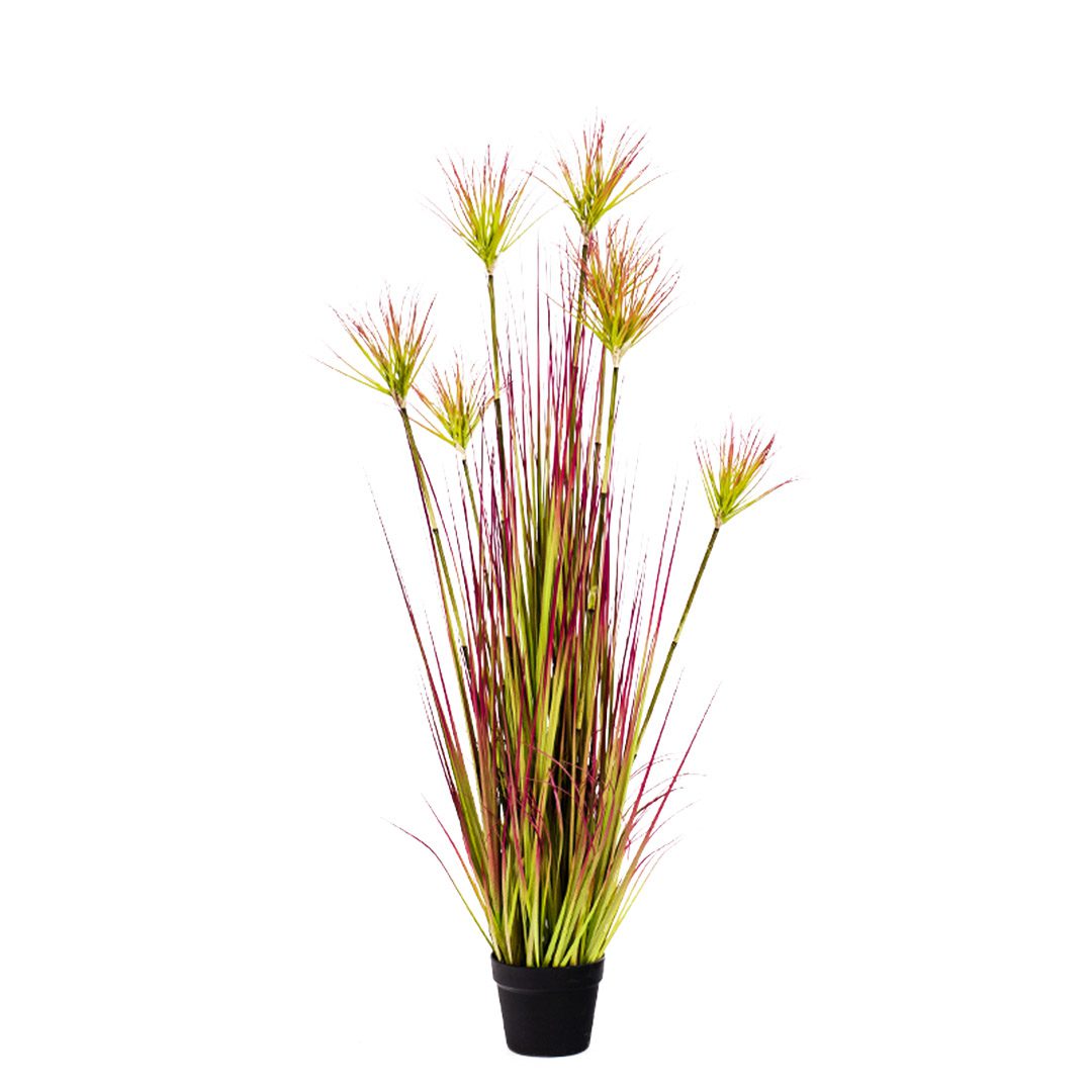 Shop Fake Papyrus Plant. Free Shipping OzGalore