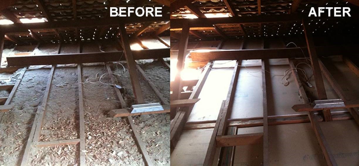 Why Remove Old Insulation from your Home? Oz Homes Insulations Pty Ltd