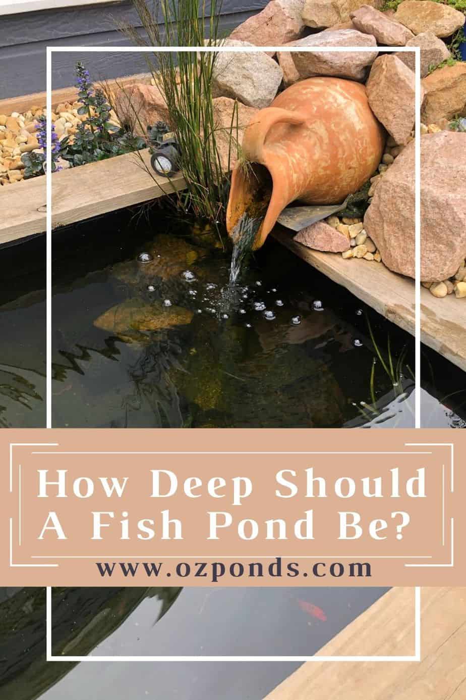 How deep should a fish pond be? Ozponds