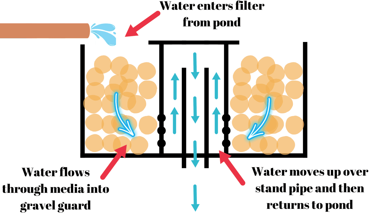 Bog filter Diagrams – Ozponds
