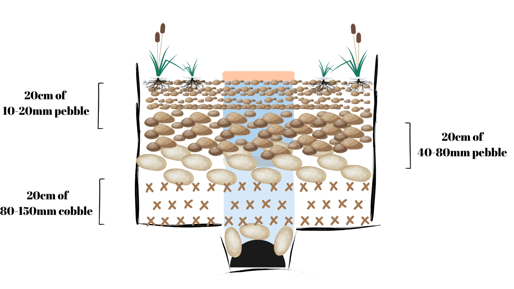 Bog filter Diagrams – Ozponds