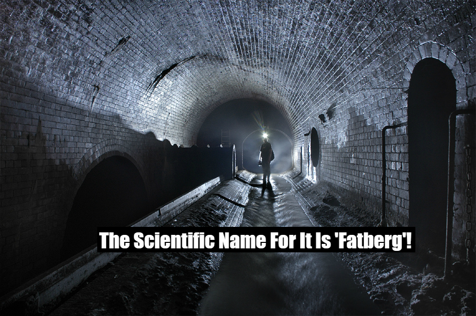 PICS London Sewers Have Been Blocked By This Elephant Sized Ball of Fat