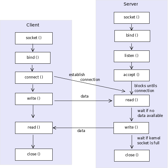 进程间通信之 Unix Domain Socket_freeflow cannot bind unix domain socketCSDN博客