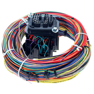 China Custom factory complete car wire harness automotive engine wire