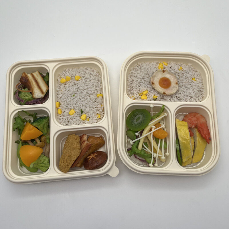 Buy Wholesale China 3 Compartment Cornstarch Food Container With Lid