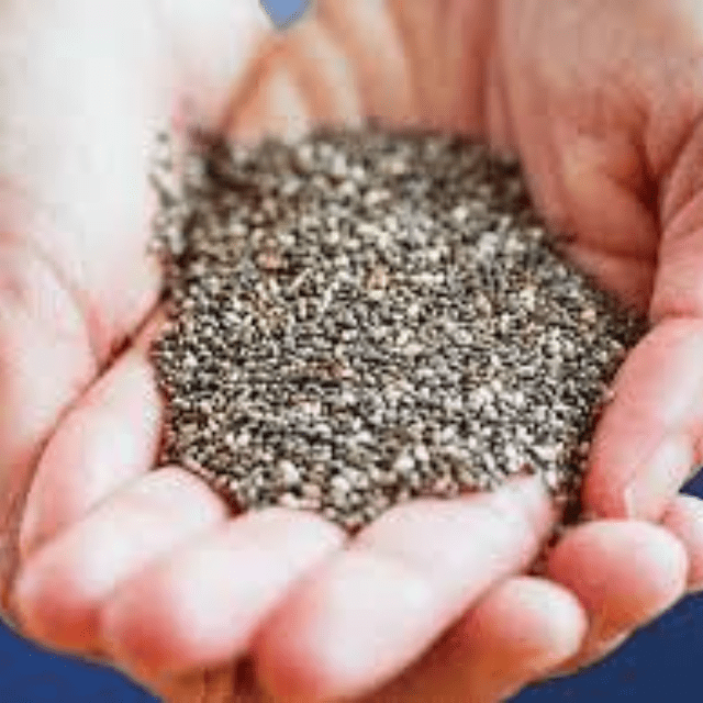 Buy Wholesale South Africa Vacuum Packed Chia Seeds / Bulk Chia Seeds