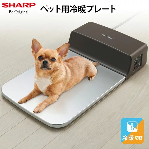 留守中にエアコンが止まる恐怖 タンタンとパパの子犬の社会化ブログ