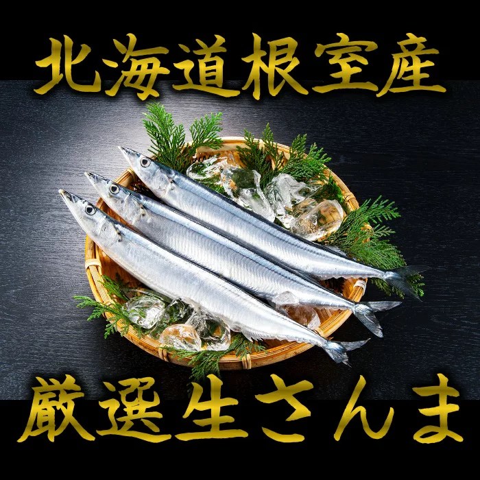 【ちほう】オホーツク網走マラソンon the web＠皇居 真・ぴーちの電撃日記！～