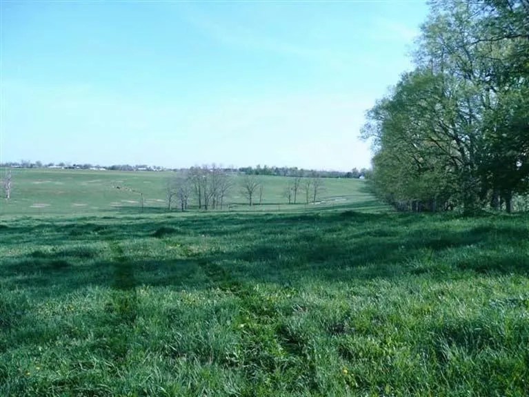 912 Shannon Run Rd, Versailles, KY 40383