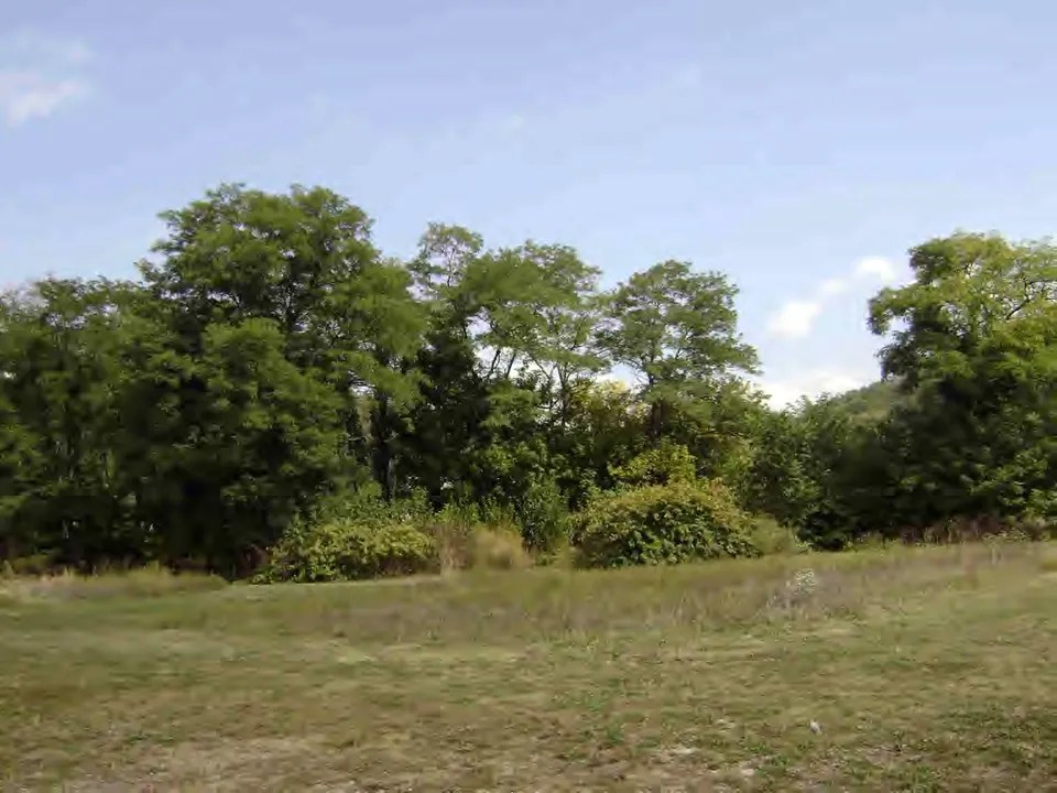 Tbd Indrustrial Park Rd, McMechen, WV 26040