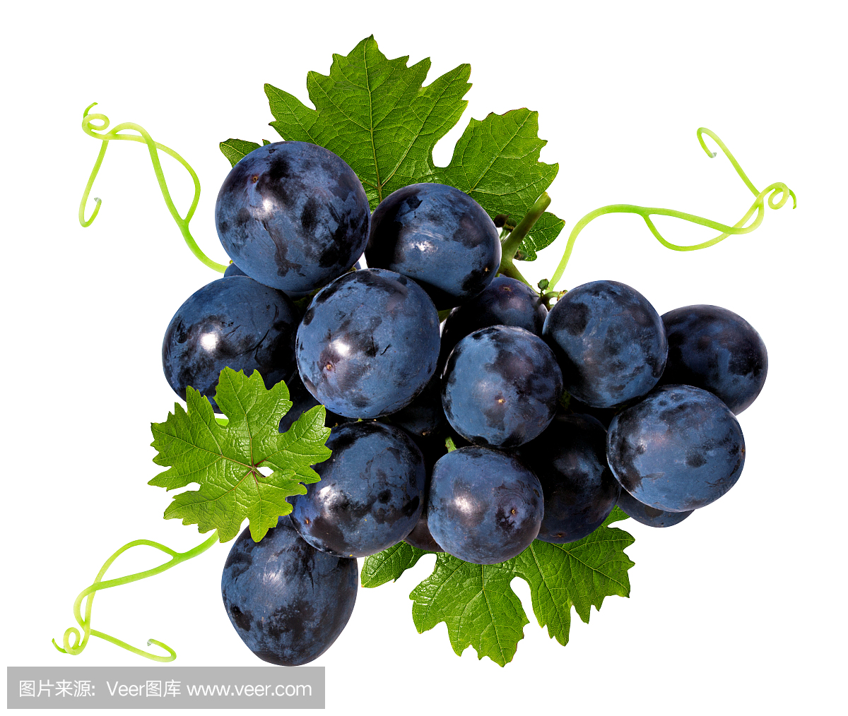 grapes是什么意思 英语grapes是什么意思万县网