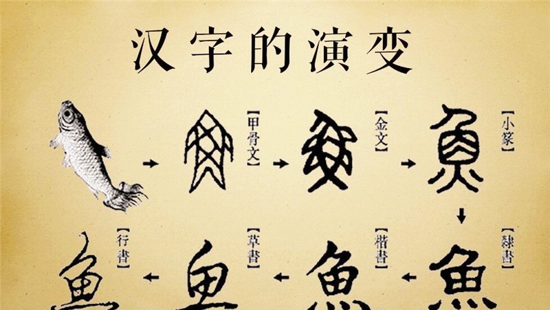 魚 種類 漢字 314426魚 種類 名前 漢字