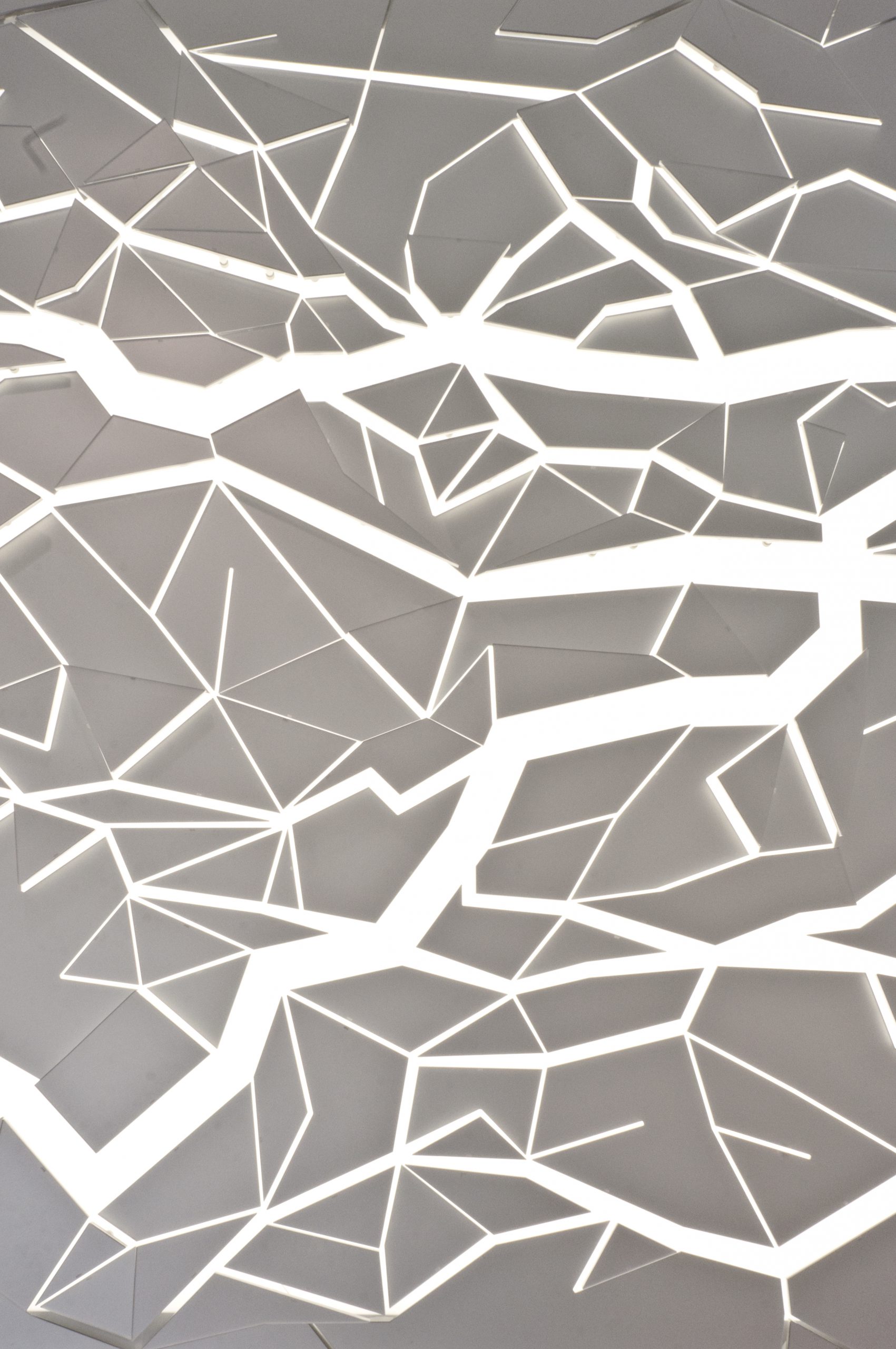 Conduit - Project One Studio