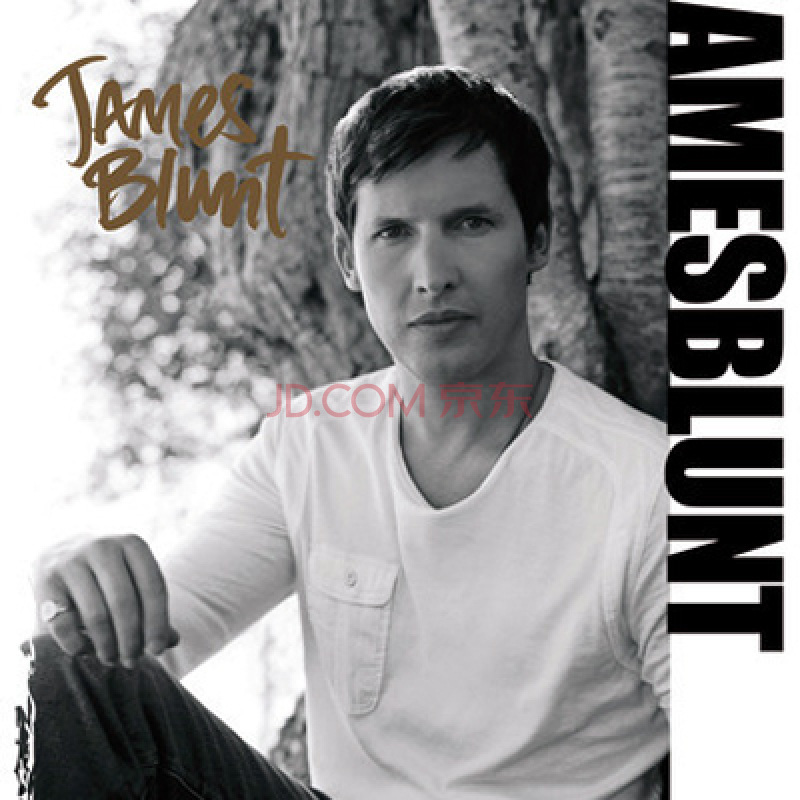 james blunt_360百科